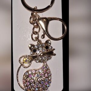 Aurora borealis Cat purse/bag Keychain nwt